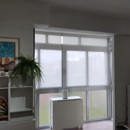 Katt Y El Mar Daire *